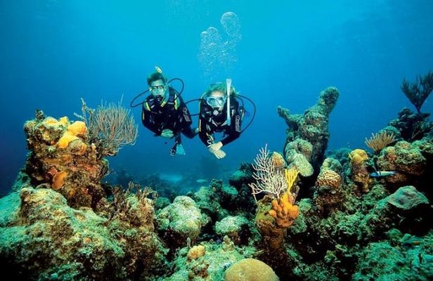 Small Group Diving Baptism in Tossa de Mar