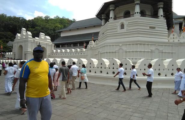 Private all inclusive Day tour Kandy, Pinnawala, & your own selected attractions