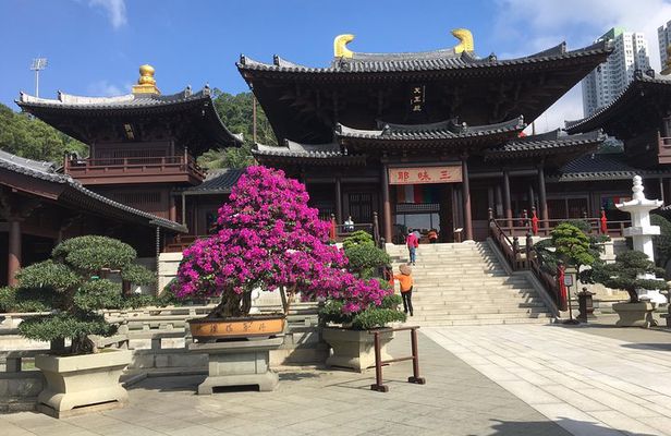 Private tour - Hong Kong's major sites and history