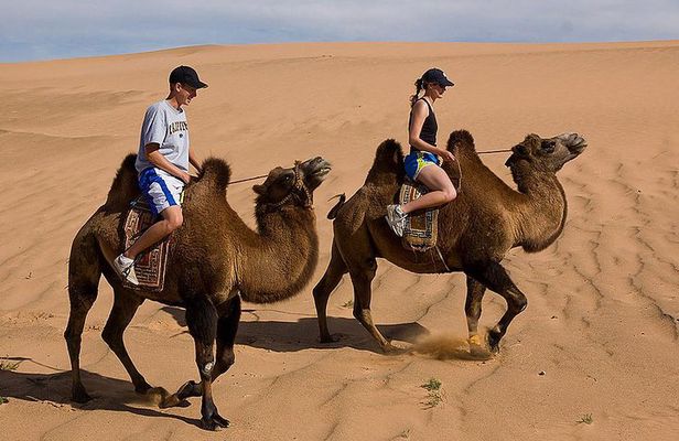 1 Day Semi-Gobi All-included tour