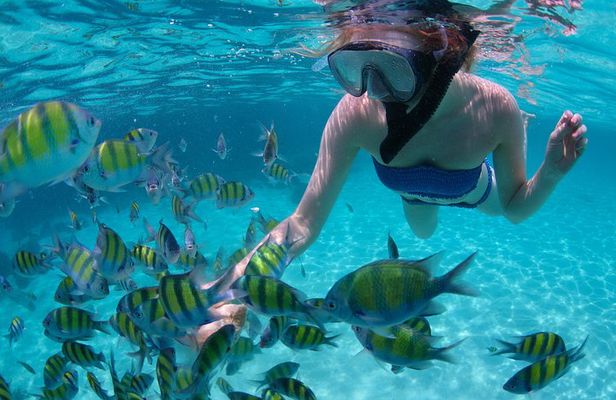 Sail/Snorkel Adventure from Sapphire Marina,STT NO CROWDS~ 6 GUEST MAX
