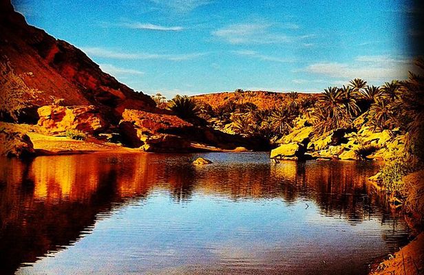 4x4 excursion to Safsaf Wild Oasis with traditional Berber picnic