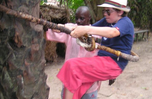 Private Makasutu Culture Forest Tour,