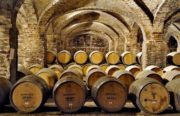 Santa Rita Winery Selection Tour