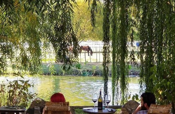 Vineyard Wine Tasting Tour