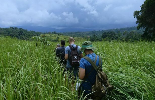UNESCO Khao Yai National Park Adventure: Hiking & Waterfalls