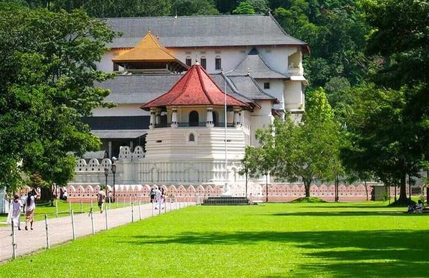 Kandy Day Tour