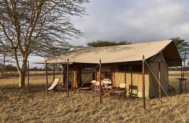 4 Day Adventure Lake Manyara , Serengeti & Ngorongoro 