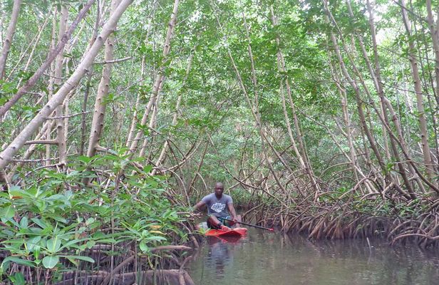 Stand up paddle in paradise