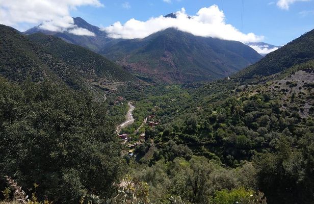 Private Day Tour from Marrakech To Ourika Valley and Atlas Mountain