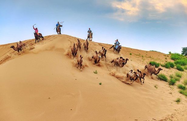 8 Days Tour: Gobi Desert And Kharkhorin
