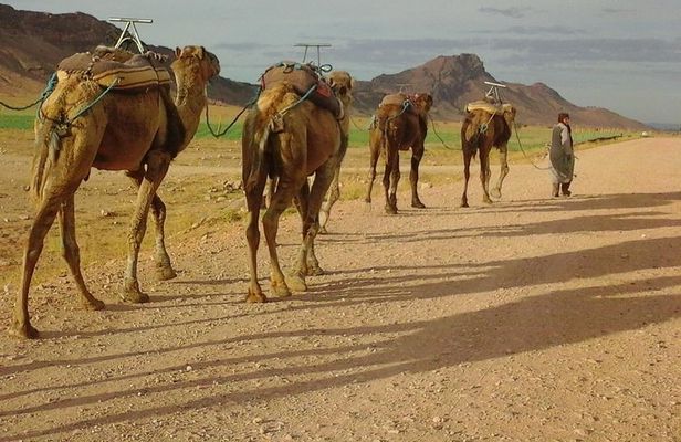 2 days 1 night zagoura dunes from marrakech