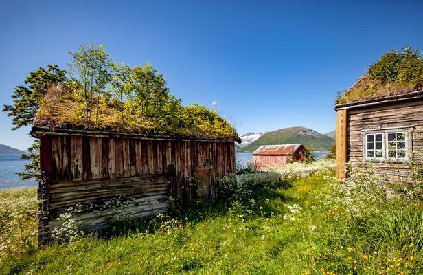 Summer Fjord Road Trip with Citizen Science with Wandering Owl