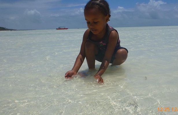 Paje Beach & Blue Lagoon Half Day Tour in Zanzibar