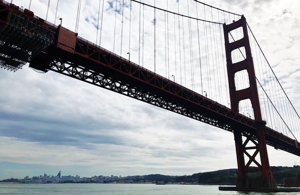 Golden Gate Bay Cruise + Fisherman's Wharf Walking Tour