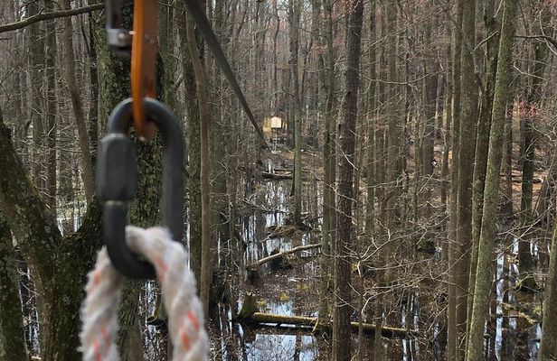 Wetland Zip Tour