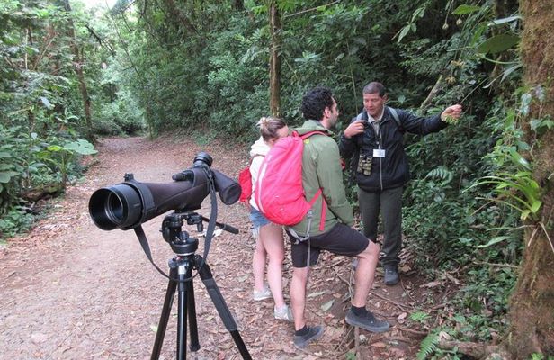 Walk in Santa Elena Cloud Forest Reserve