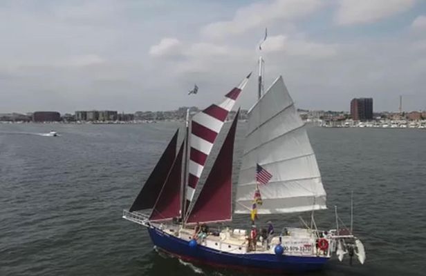 Baltimore Inner Harbor Sail on Summer Wind