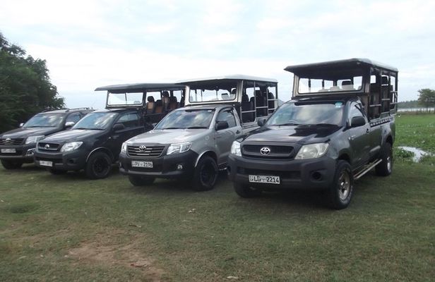 Special leopards safari Yala National park - 04.30 am to 11.30 am