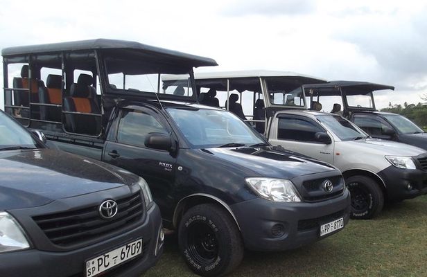 The Best Safari tour from Hambantota Port (Janaka safari)