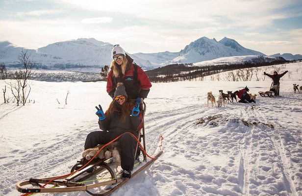Self sledding dog discount