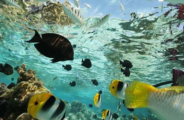 snorkeling adventure