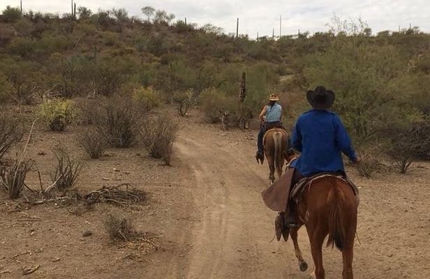 Horseback ride and witness magical sunset of Loreto, BCS