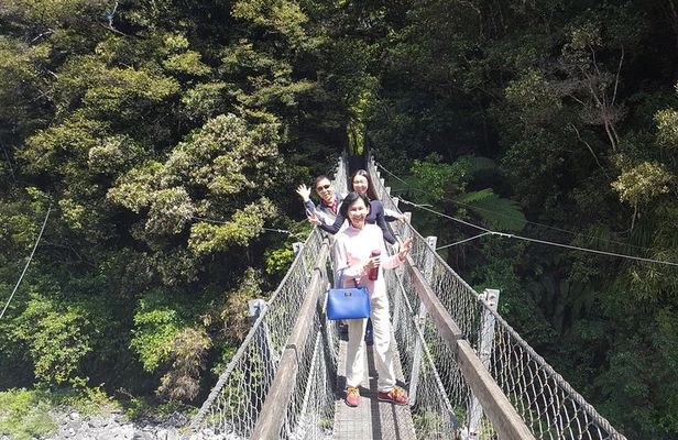 Martinborough Wine and Wild Coast Tour from Wellington