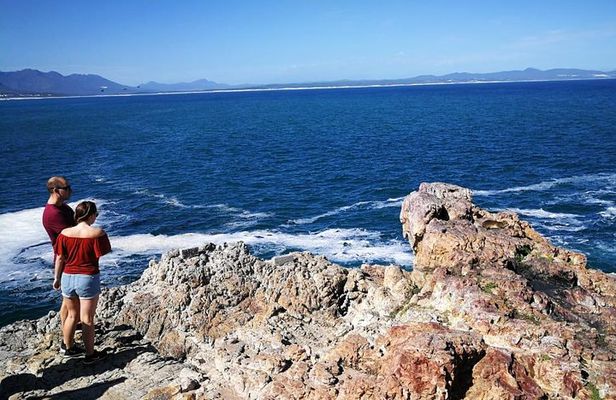 5 Day Garden Route Tour and Addo Elephant National Park