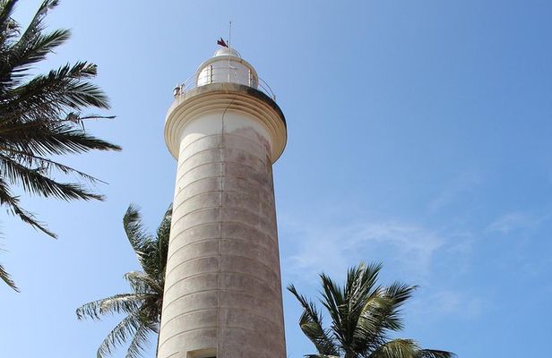 Galle Fort, Turtle, - Private Day Tour From Negombo or Colombo