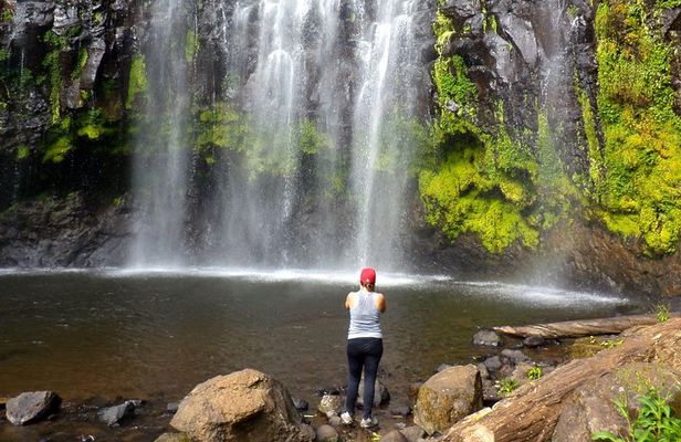 Materuni waterfall and Coffee tour