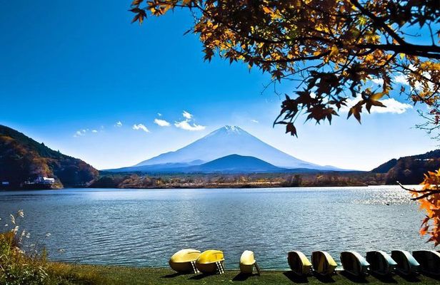 Private Fuji Hakone Tour Charter with English Speaking Driver