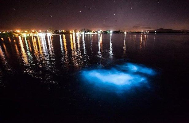 Luminous Lagoon Magical Tour