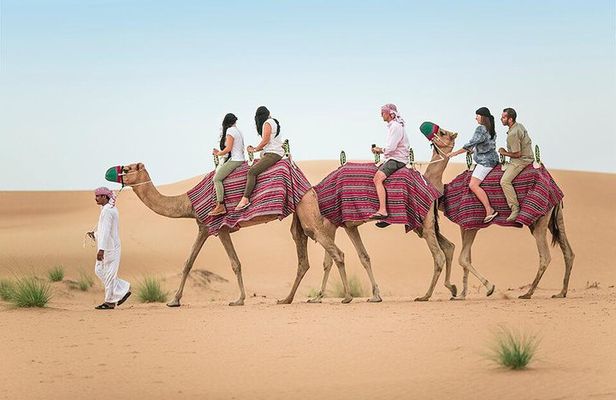 Morning Desert Safari Dubai with Dune Bashing and Sand Boarding