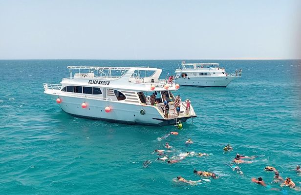 Meet the dolphins in snorkeling tour