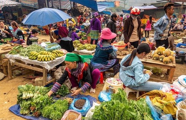 Sapa, Bac Ha Market Tour - 1 Day Tour