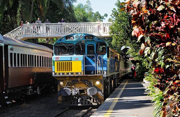 Kuranda Day Tour, TKS-RFS CLASSIC GOLD PLUS 0930