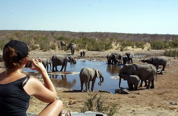 3 Day Etosha Budget Camping Safari