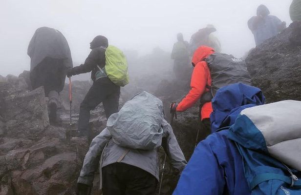 Mt. Kilimanjaro Day Hiking