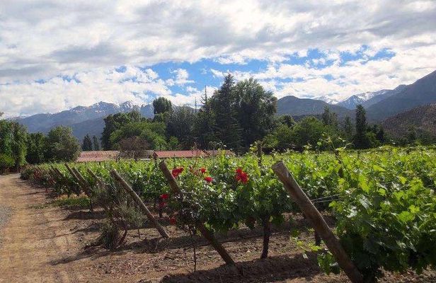 Aconcagua Private Wine Lovers Premium Tour