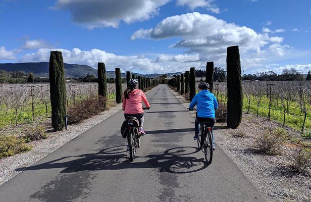 Sonoma Valley Pedal Assist Bike Tour with Lunch