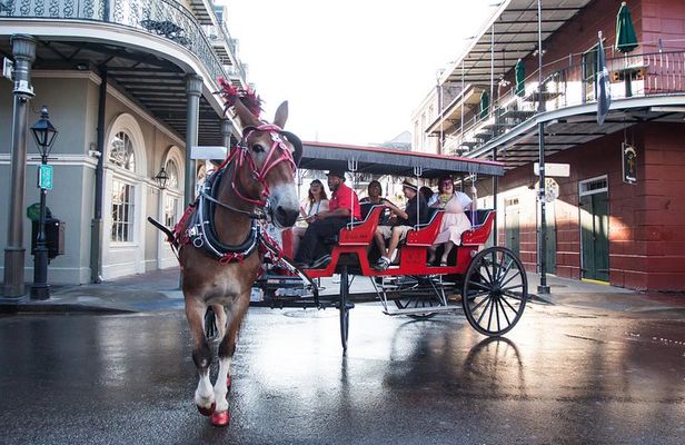 New Orleans French Quarter and More Carriage Ride 