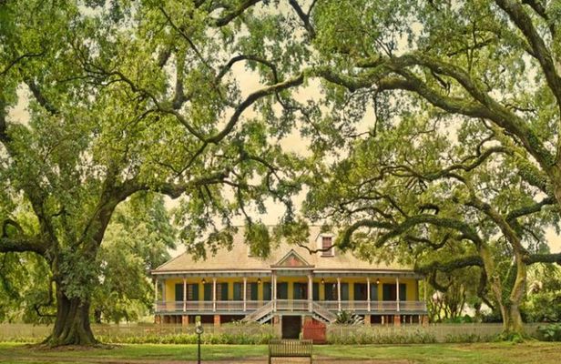 Small-Group Laura and Whitney Plantation Tour from New Orleans