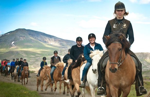 Icelandic Horseback Riding Tour Including Pick Up from Reykjavik