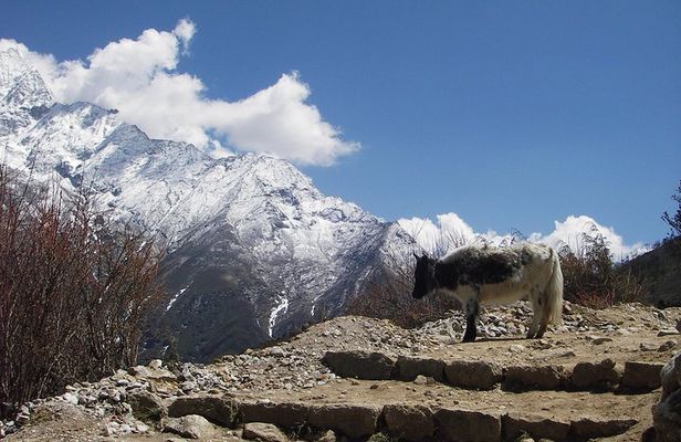 Everest Base Camp - Cho La Pass - Gokyo Trek
