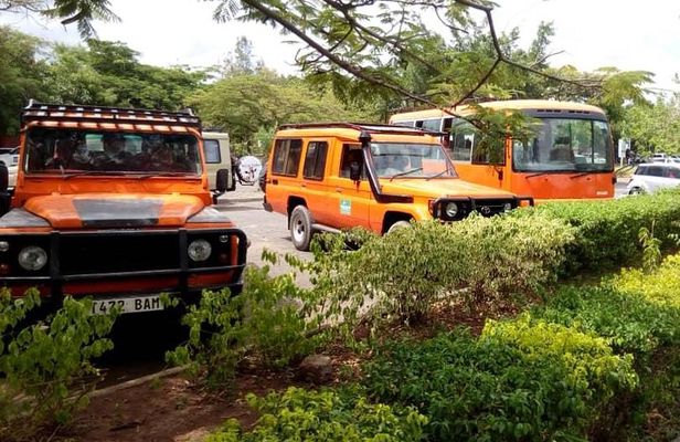 6 Days Climb Kilimanjaro Through Marangu Route
