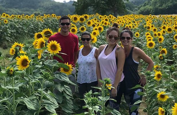 Small Group Chianti Wineries Tuscan Lunch San Gimignano and more