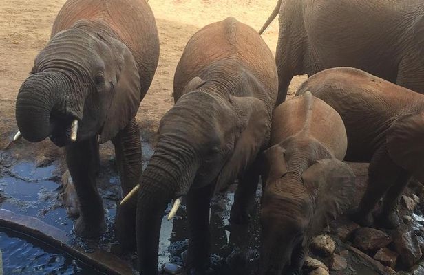 Tarangire and Ngorongoro 2 days Budget camping Safari