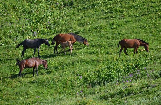 Relaxable and Knowledgeable 9 days Tour in Azerbaijan