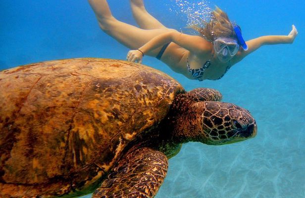 Afternoon Adventure Snorkel from Ka'anapali